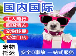 瑷珲空运国际宠物托运 【国
